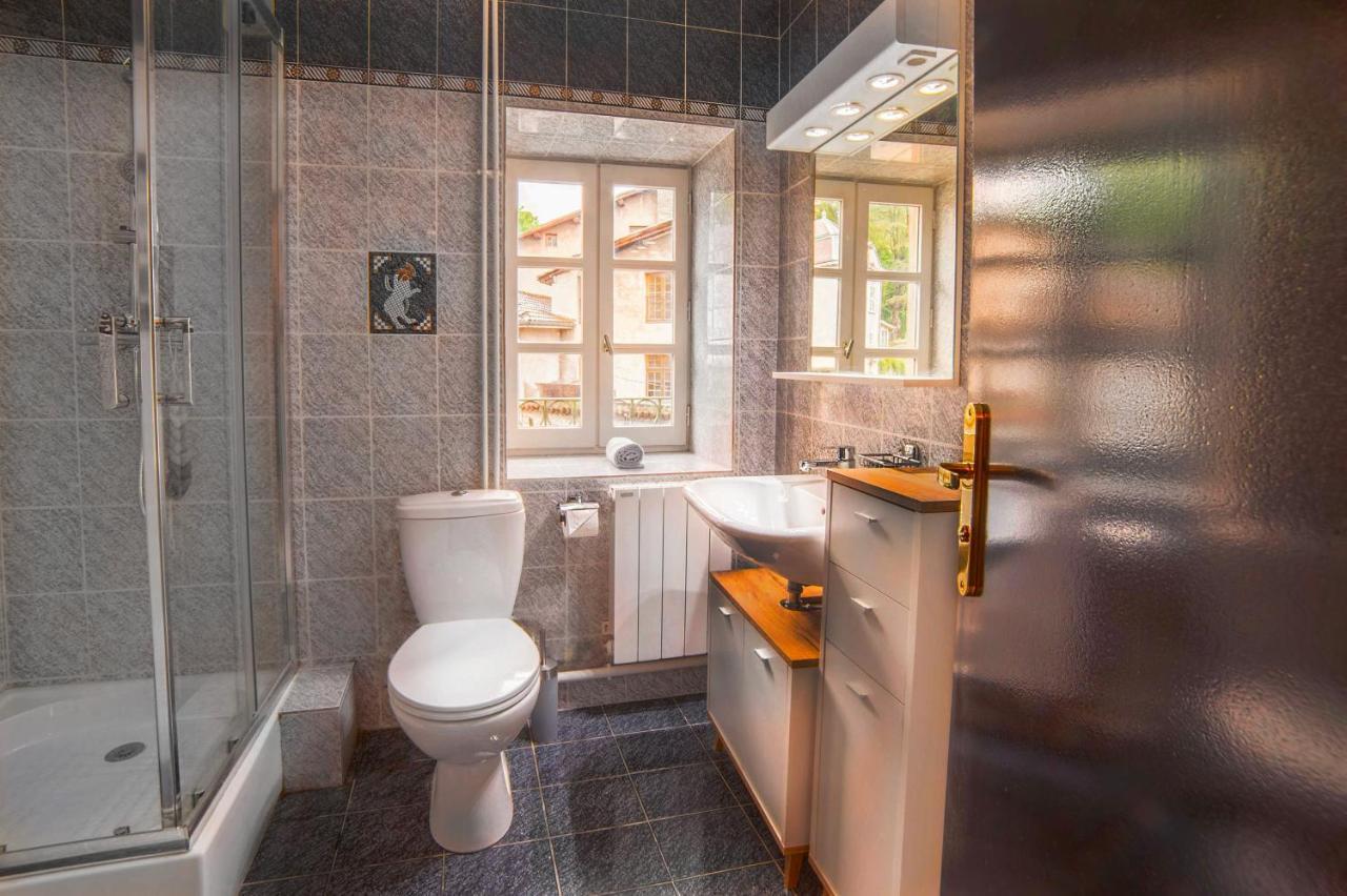 Appart'Hotel Chaleureux Au Coeur De Tullins - Le Roitelet מראה חיצוני תמונה
